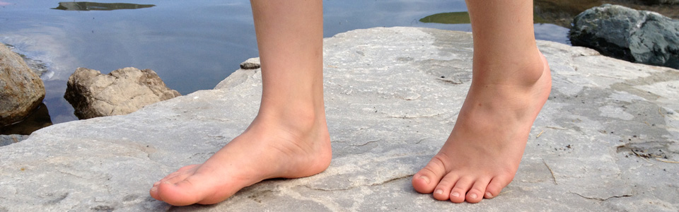 Odoo • Text und Bild